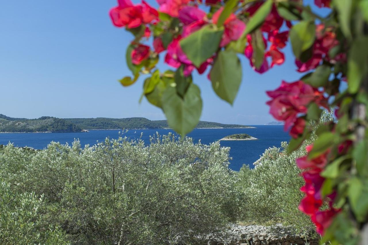 Villa Stone House San Pelegrin à Vela Luka Extérieur photo